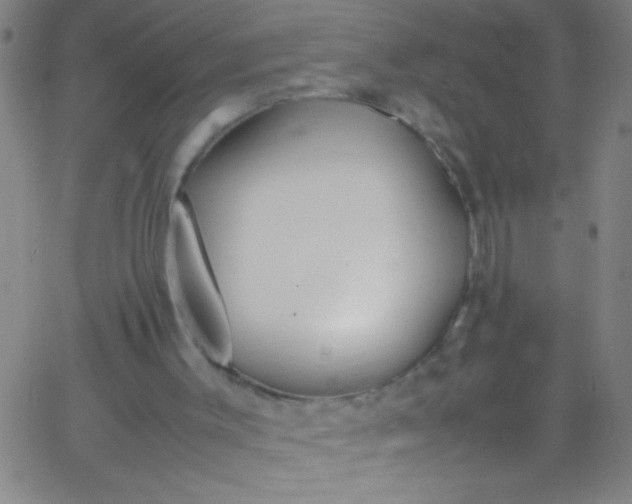 X0000067950003200604272111