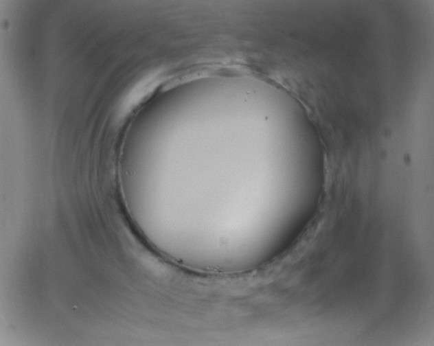 X0000067950005200604272111