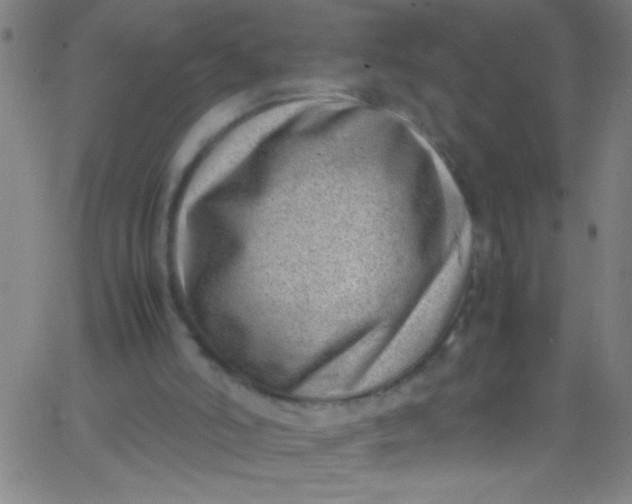 X0000067950006200604272111