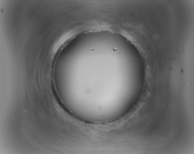 X0000067950007200604272111