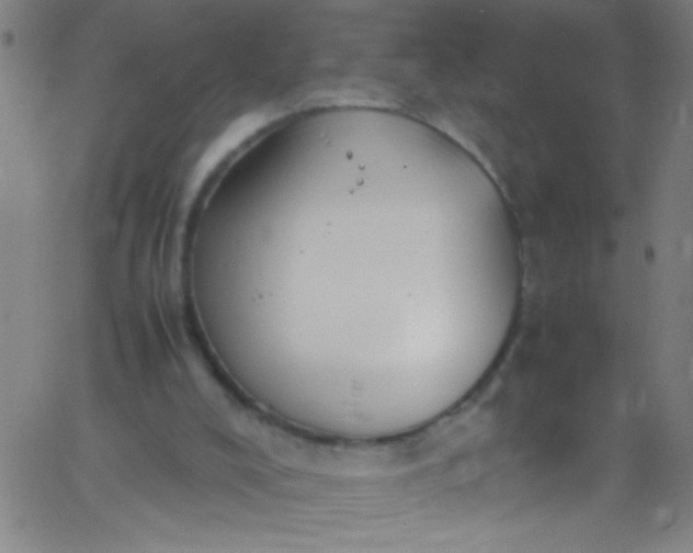 X0000067950008200604272111