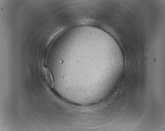 X0000067950010200604272111