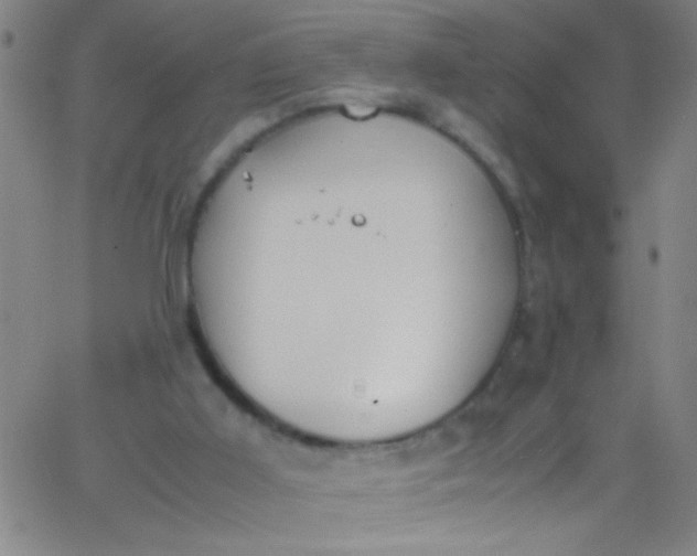 X0000067950011200604272111