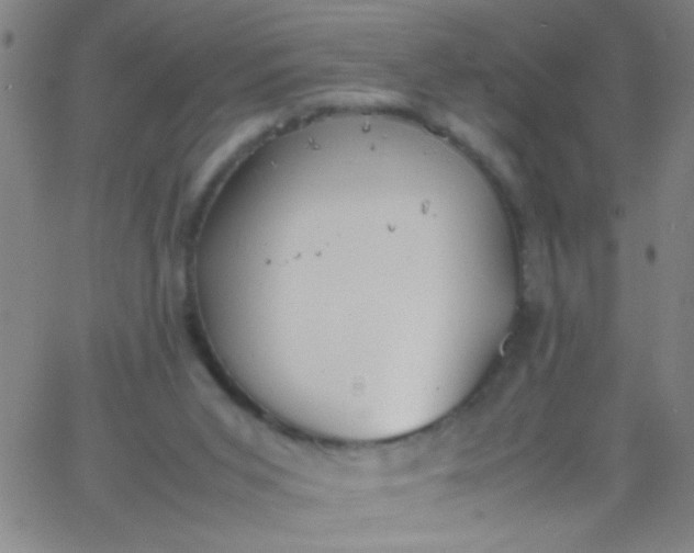 X0000067950015200604272111