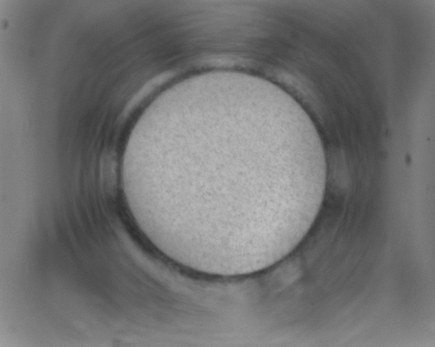 X0000067950016200604272111