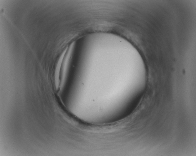 X0000067950017200604272111