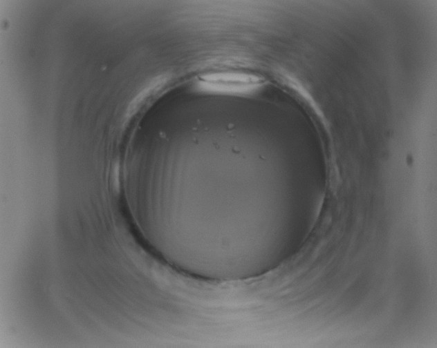 X0000067950019200604272111