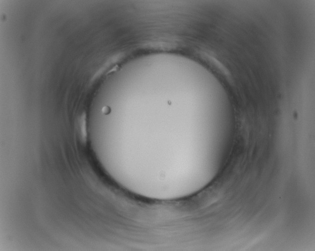 X0000067950020200604272111