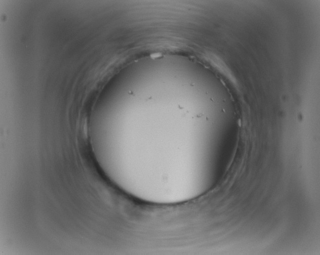 X0000067950021200604272111