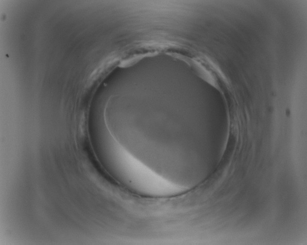 X0000067950023200604272111