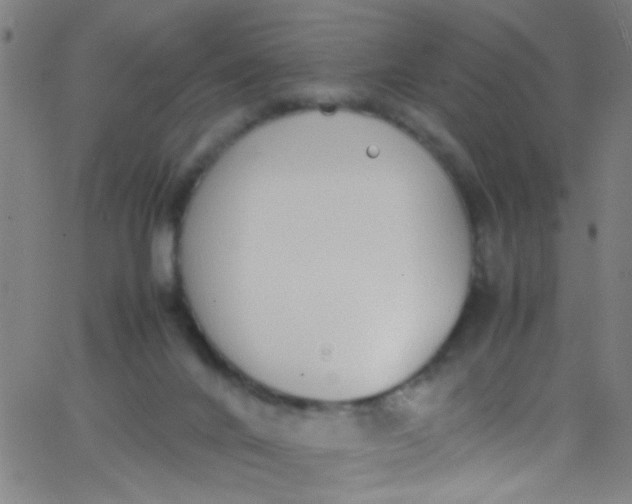 X0000067950024200604272111