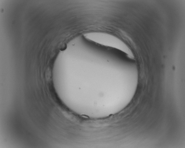 X0000067950025200604272111