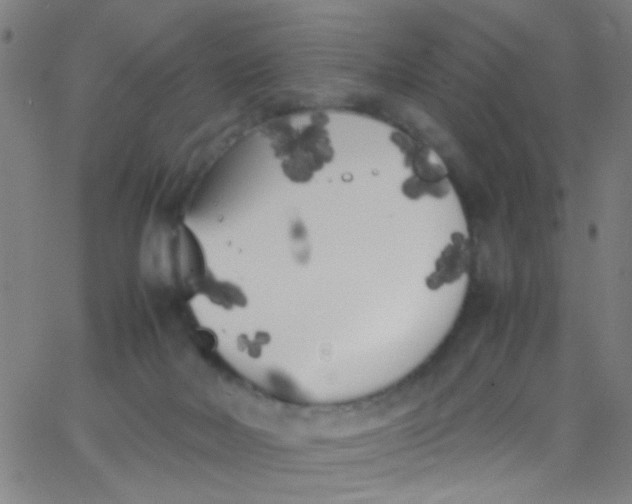 X0000067950026200604272111