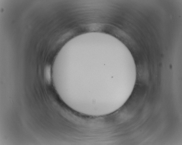 X0000067950028200604272111