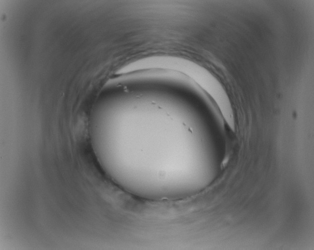 X0000067950029200604272111