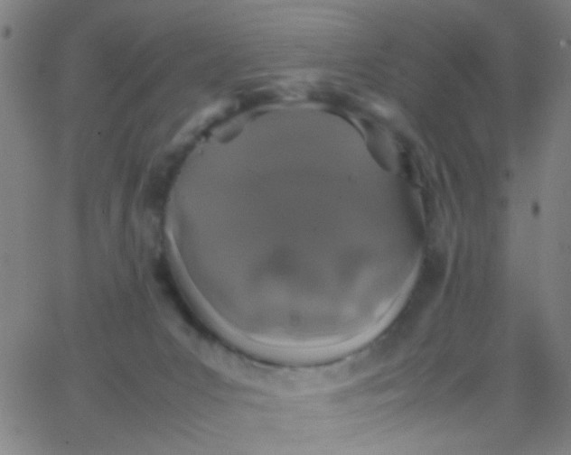 X0000067950031200604272110