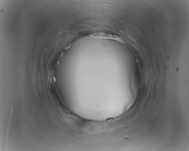 X0000067950033200604272110