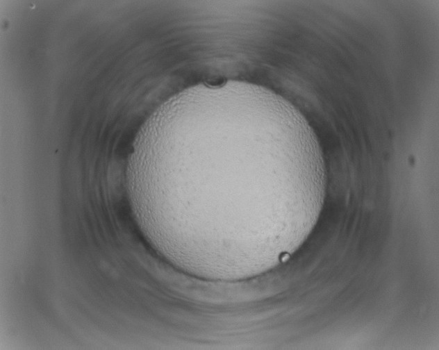 X0000067950034200604272110