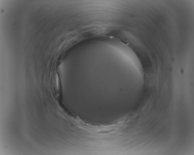 X0000067950035200604272110