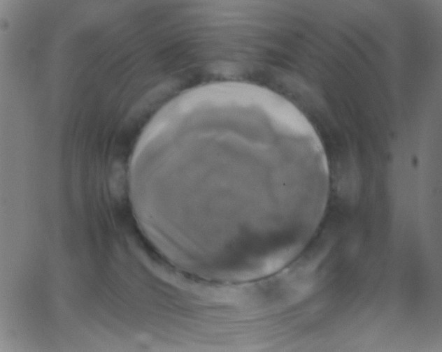 X0000067950036200604272110