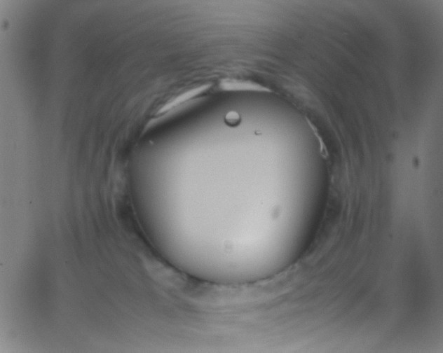 X0000067950037200604272110