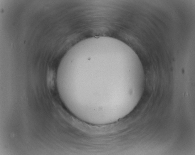 X0000067950038200604272110