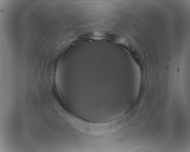 X0000067950039200604272110