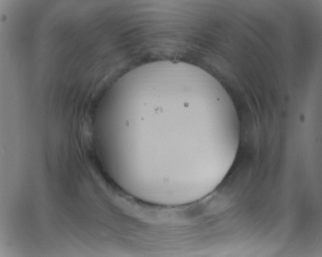 X0000067950040200604272110