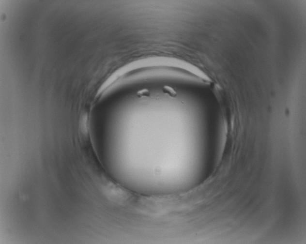 X0000067950041200604272110