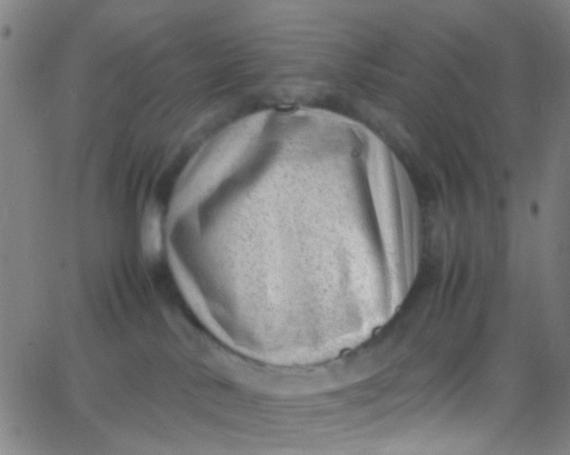 X0000067950042200604272110