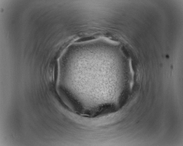 X0000067950043200604272110