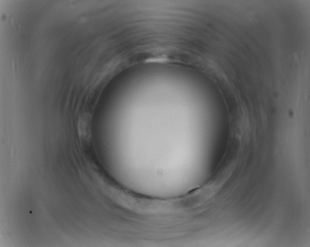 X0000067950044200604272110