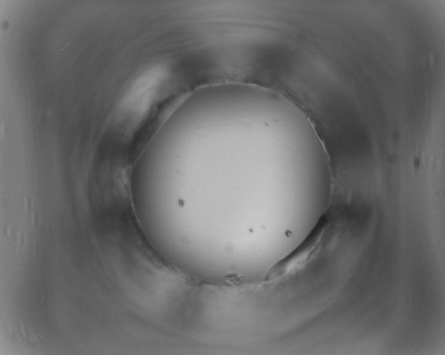 X0000067950045200604272110