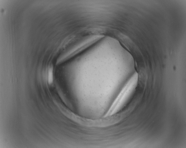 X0000067950046200604272110