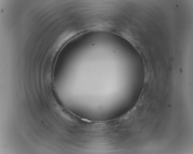 X0000067950050200604272109