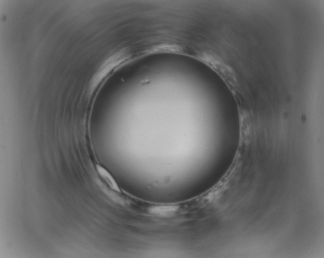 X0000067950051200604272109