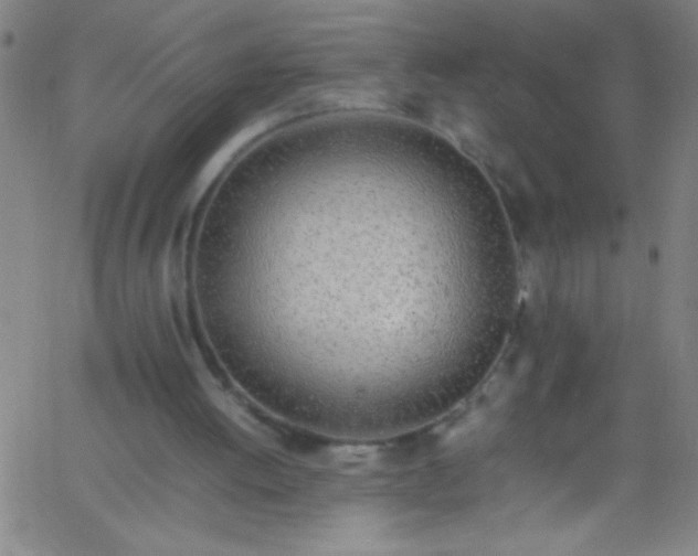 X0000067950052200604272109