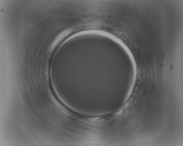 X0000067950054200604272110