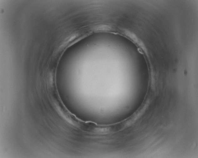 X0000067950057200604272110