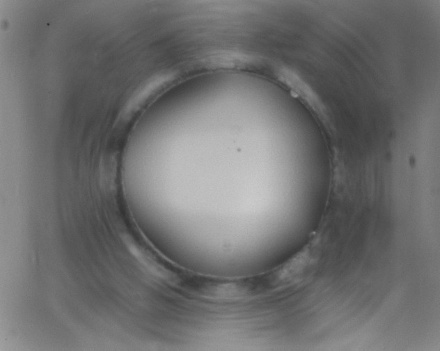 X0000067950058200604272110