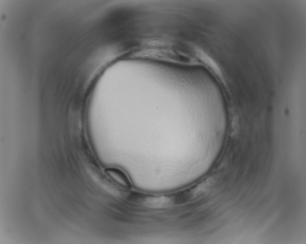 X0000067950059200604272110