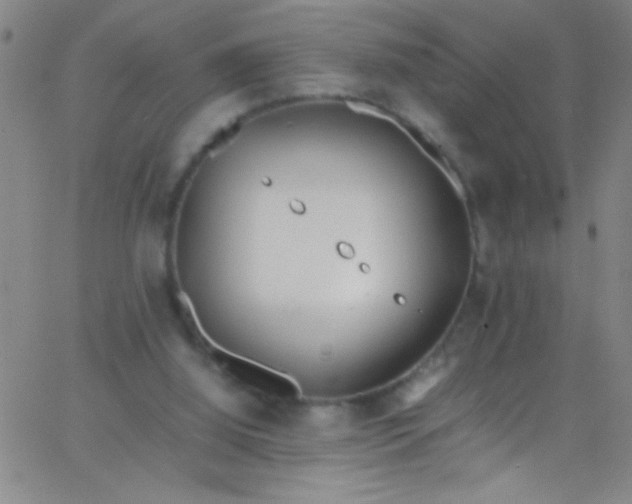 X0000067950060200604272110