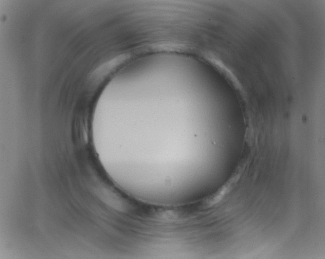 X0000067950062200604272110