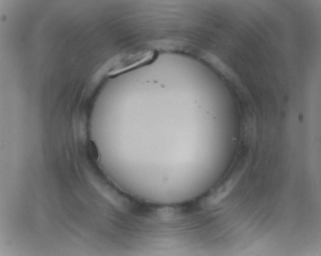 X0000067950064200604272110