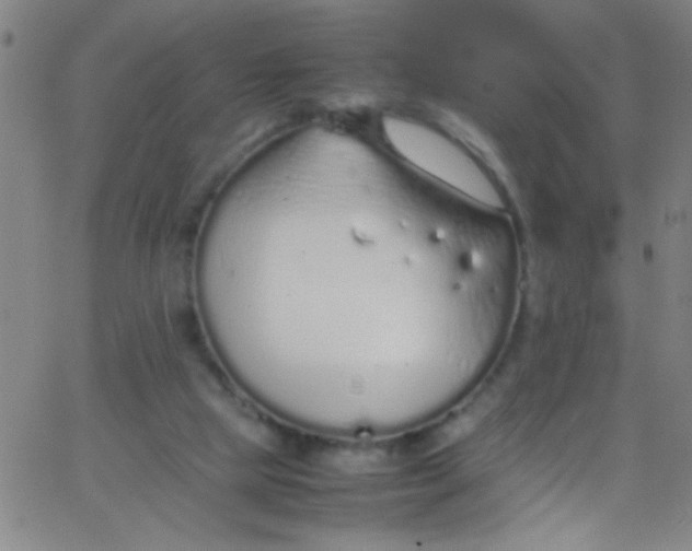 X0000067950065200604272110