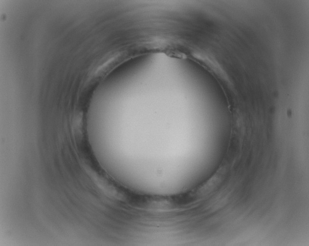 X0000067950066200604272110