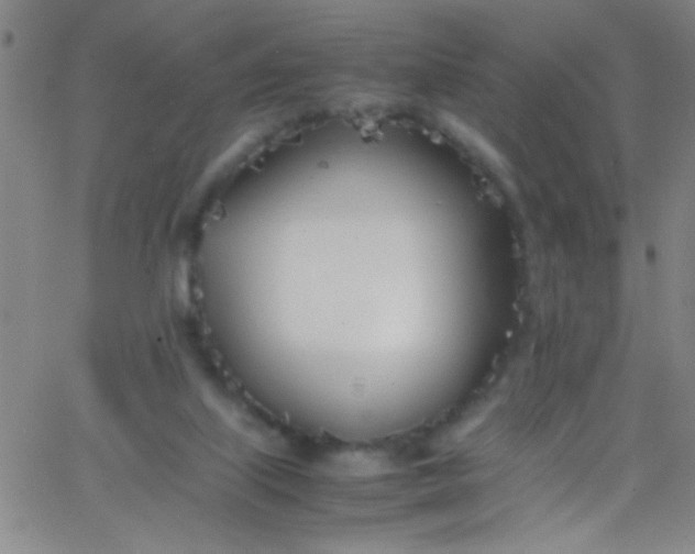 X0000067950067200604272110