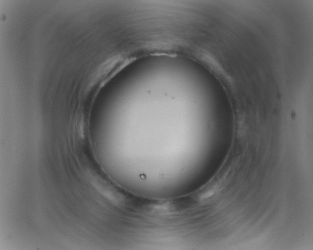 X0000067950068200604272110