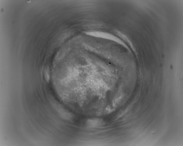 X0000067950069200604272110