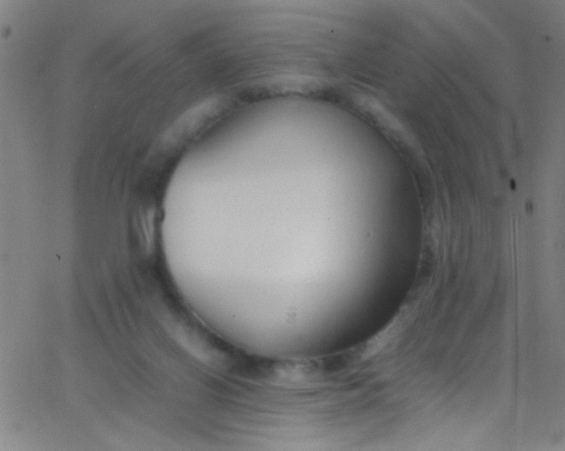 X0000067950070200604272110